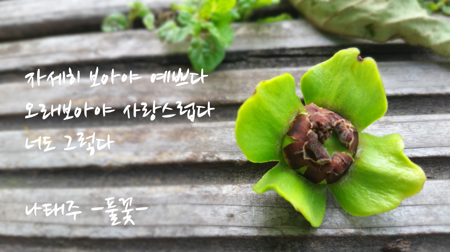 곧 풀꽃을 볼 수 있겠네요.